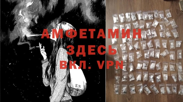 твердый Абаза