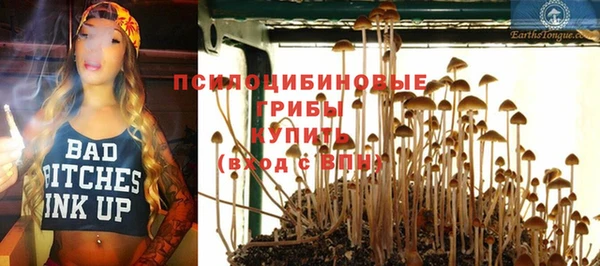 прущий лед Алзамай