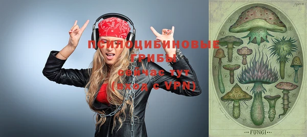 a pvp Абинск