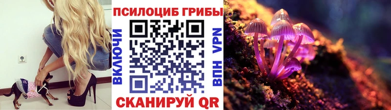 Псилоцибиновые грибы ЛСД  Серпухов 